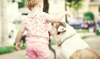 Собака и ребенок