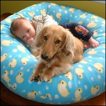 Младенец и собака